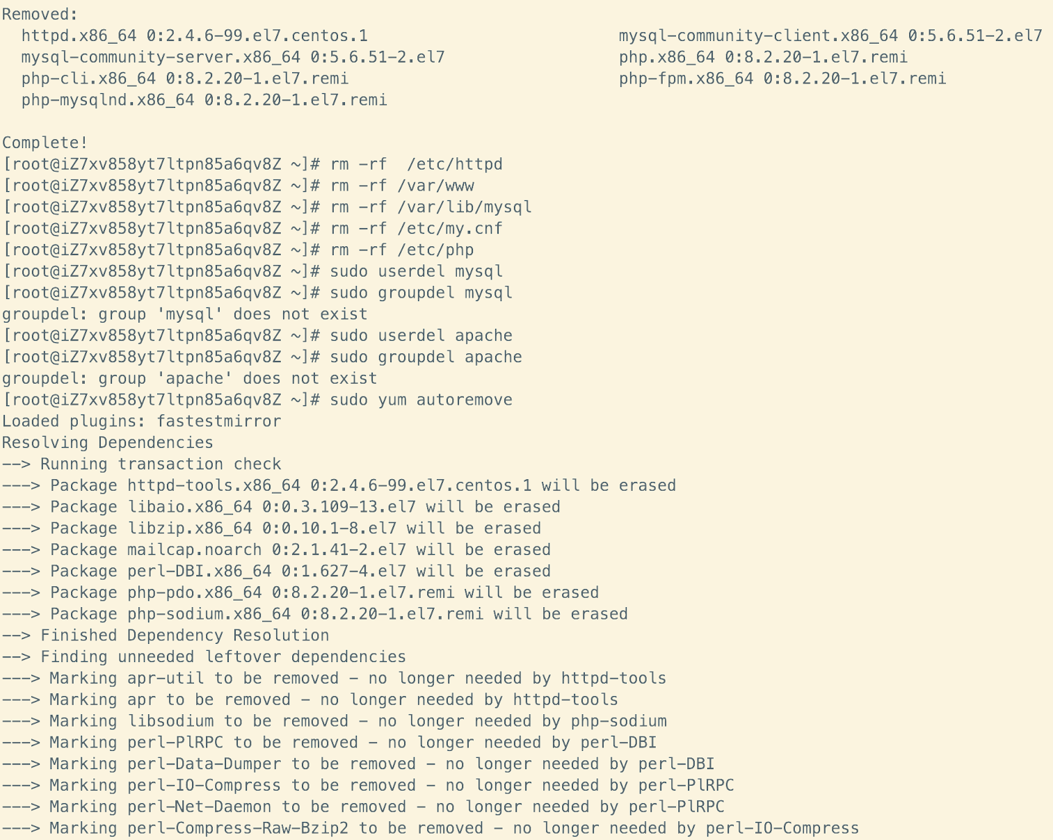 image-20250212115847770